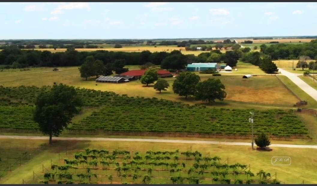 Silvertop Farm & Vineyards